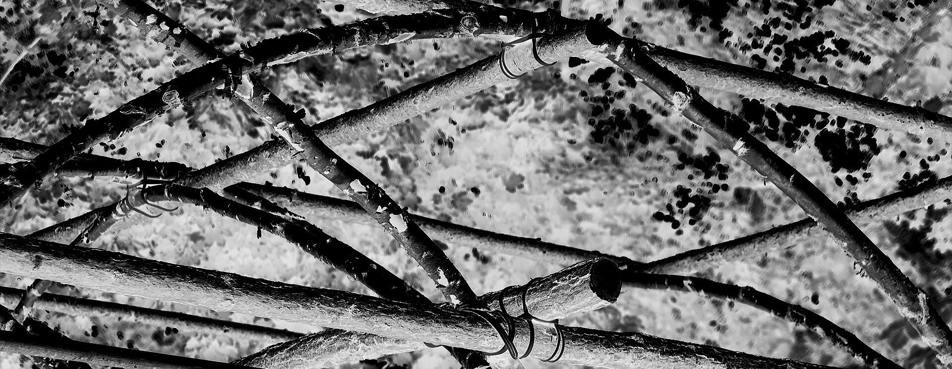 Holzkonstruktion, zusammengebundene Birkenhölzer